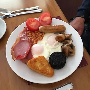 book here